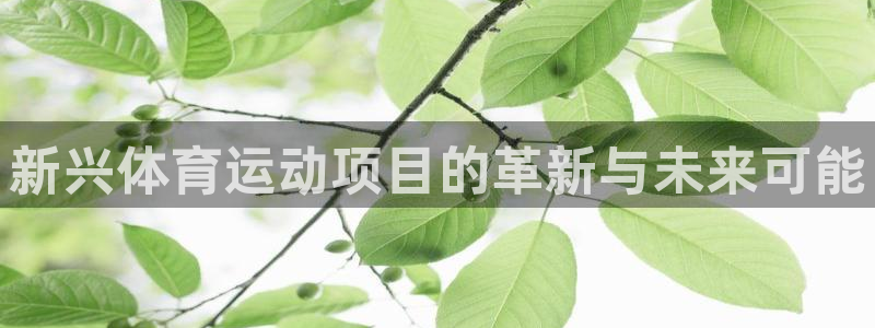 球客岛