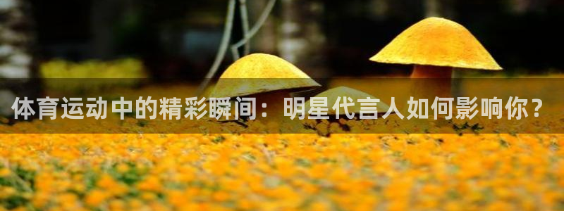 球客岛