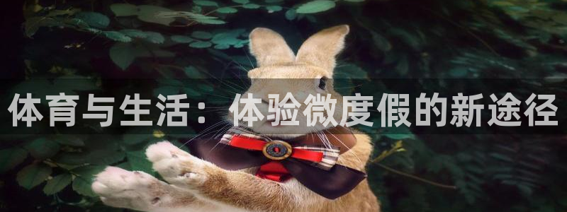 球客岛