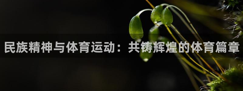 球客岛