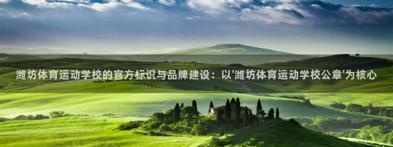 球客岛：潍坊体育运动学校的官方标识与品牌建设：以\'潍坊体育运动学校公章\'为核心