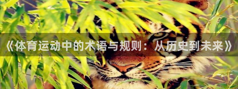 球客岛：《体育运动中的术语与规则：从历史到未来》
