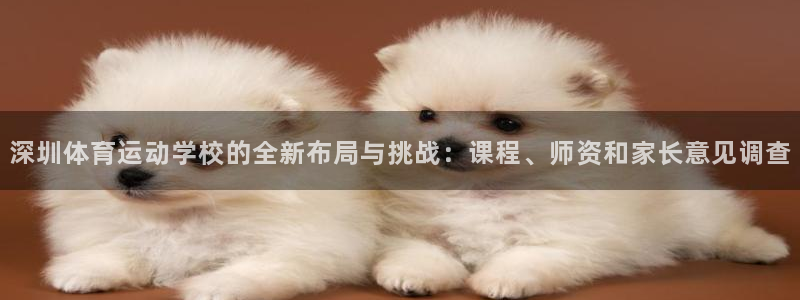 球客岛：深圳体育运动学校的全新布局与挑战：课程、师资和家长意见调查
