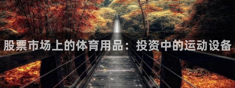 球客岛：股票市场上的体育用品：投资中的运动设备