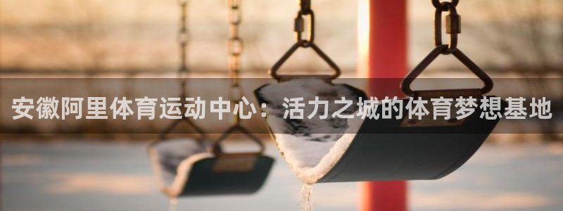 球客岛：安徽阿里体育运动中心：活力之城的体育梦想基地
