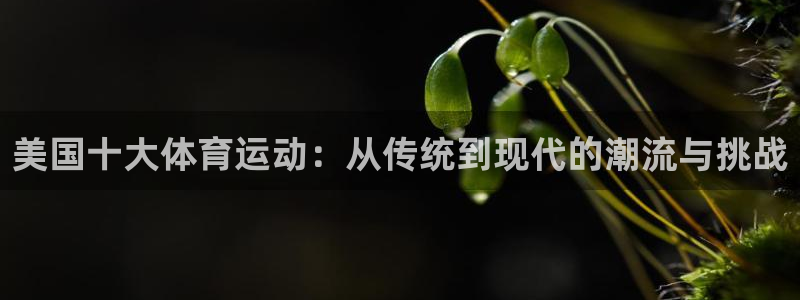 球客岛