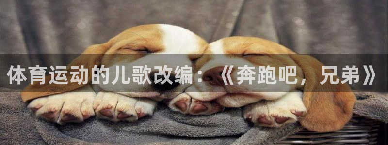 球客岛