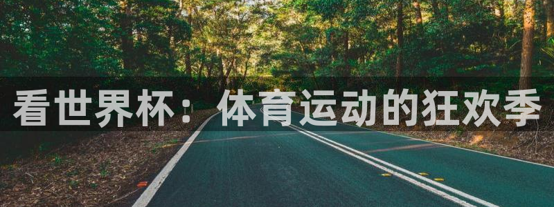 球客岛：看世界杯：体育运动的狂欢季