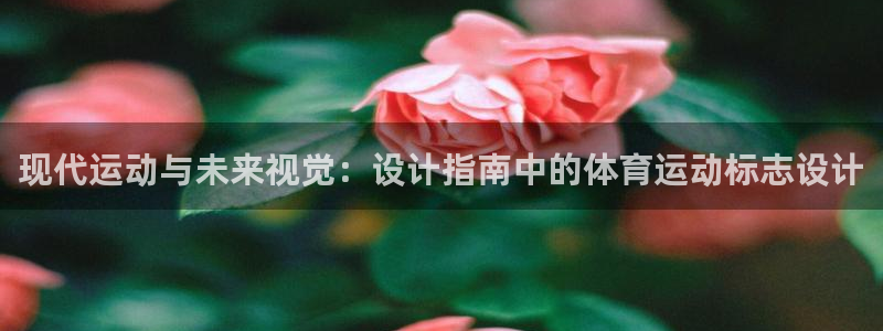 球客岛：现代运动与未来视觉：设计指南中的体育运动标志设计