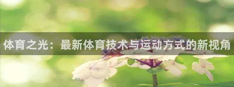 球客岛：体育之光：最新体育技术与运动方式的新视角